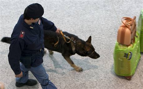 Policejní psovod na letiti (ilustraní foto)